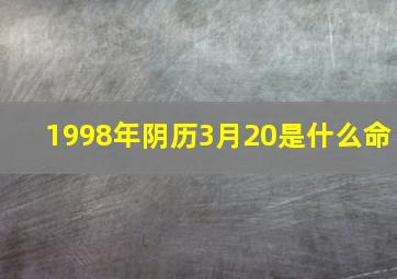 1998年阴历3月20是什么命