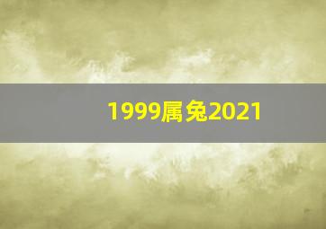 1999属兔2021