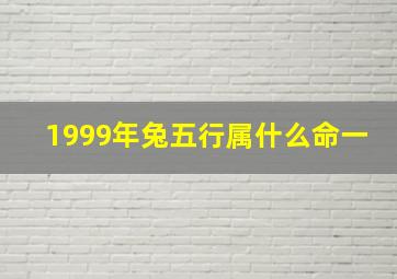 1999年兔五行属什么命一