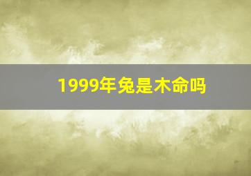 1999年兔是木命吗