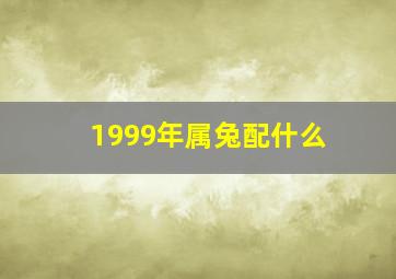 1999年属兔配什么