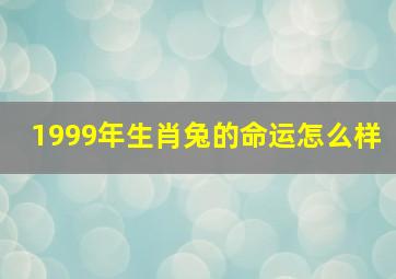 1999年生肖兔的命运怎么样