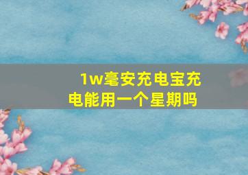 1w毫安充电宝充电能用一个星期吗