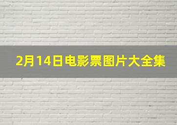 2月14日电影票图片大全集