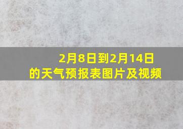 2月8日到2月14日的天气预报表图片及视频