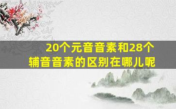 20个元音音素和28个辅音音素的区别在哪儿呢