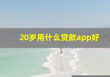 20岁用什么贷款app好