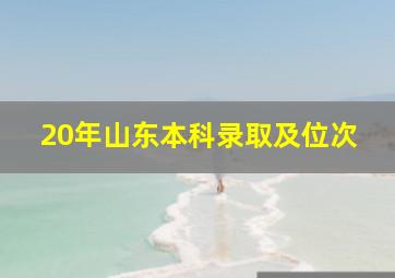 20年山东本科录取及位次