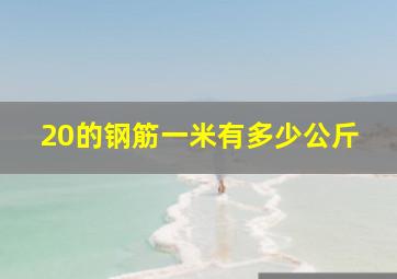 20的钢筋一米有多少公斤