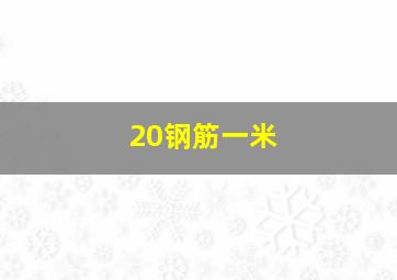 20钢筋一米