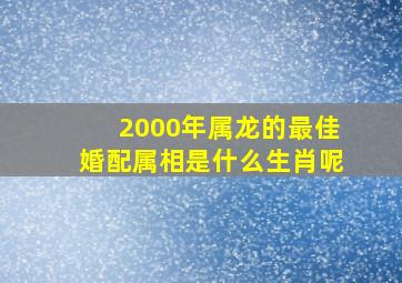 2000年属龙的最佳婚配属相是什么生肖呢