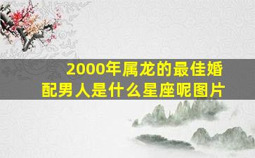 2000年属龙的最佳婚配男人是什么星座呢图片