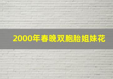 2000年春晚双胞胎姐妹花