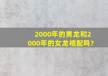 2000年的男龙和2000年的女龙相配吗?