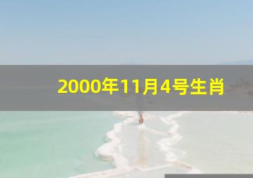 2000年11月4号生肖