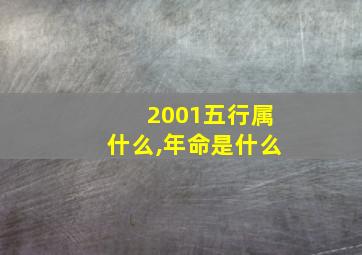 2001五行属什么,年命是什么