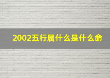 2002五行属什么是什么命