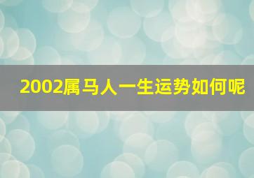 2002属马人一生运势如何呢