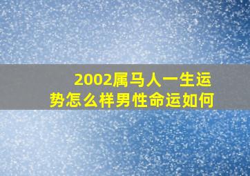 2002属马人一生运势怎么样男性命运如何