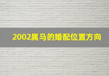 2002属马的婚配位置方向