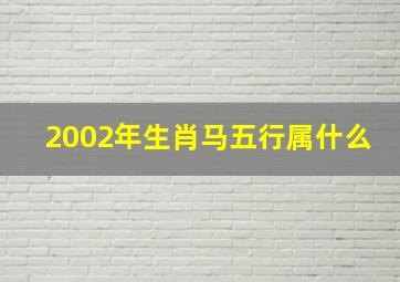 2002年生肖马五行属什么