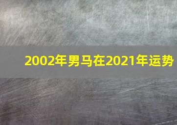 2002年男马在2021年运势