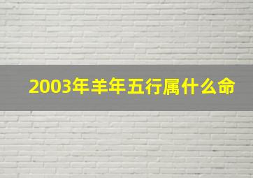 2003年羊年五行属什么命