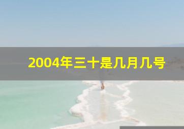 2004年三十是几月几号