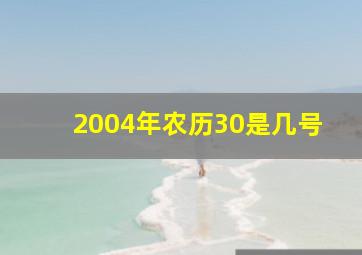 2004年农历30是几号