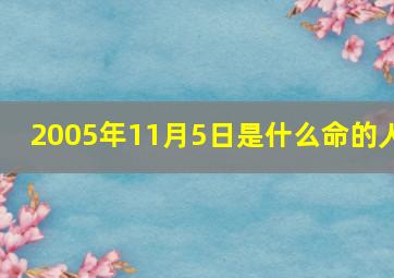 2005年11月5日是什么命的人