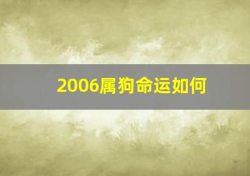 2006属狗命运如何