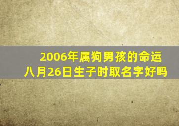 2006年属狗男孩的命运八月26日生子时取名字好吗