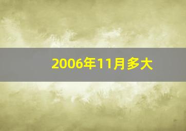 2006年11月多大