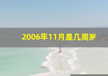 2006年11月是几周岁