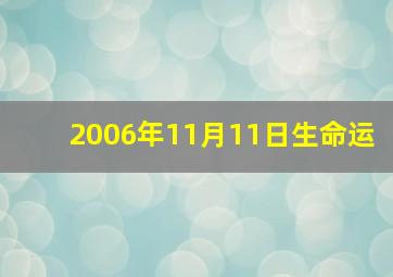 2006年11月11日生命运