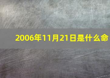 2006年11月21日是什么命