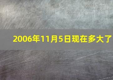 2006年11月5日现在多大了