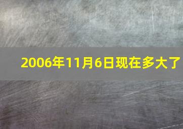 2006年11月6日现在多大了