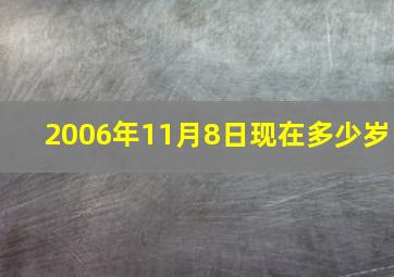 2006年11月8日现在多少岁