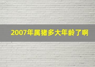 2007年属猪多大年龄了啊