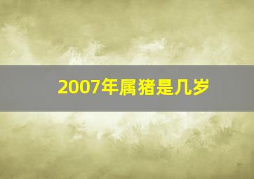 2007年属猪是几岁