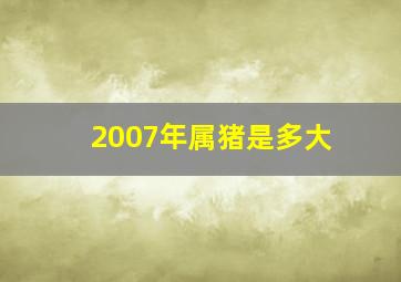 2007年属猪是多大