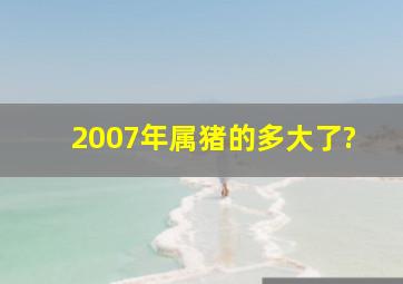 2007年属猪的多大了?