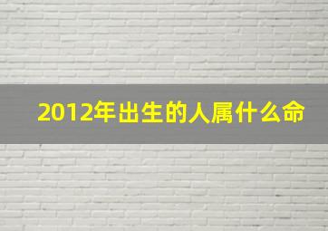 2012年出生的人属什么命