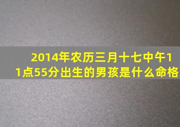 2014年农历三月十七中午11点55分出生的男孩是什么命格