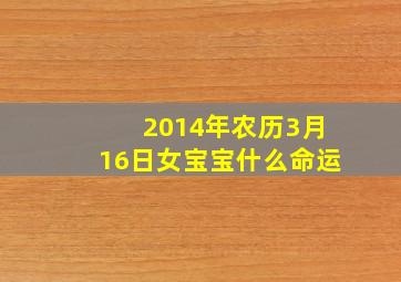 2014年农历3月16日女宝宝什么命运