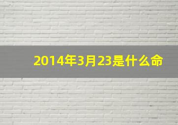 2014年3月23是什么命