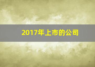 2017年上市的公司