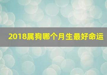 2018属狗哪个月生最好命运