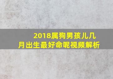 2018属狗男孩儿几月出生最好命呢视频解析